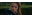 chasseroyale 1.png